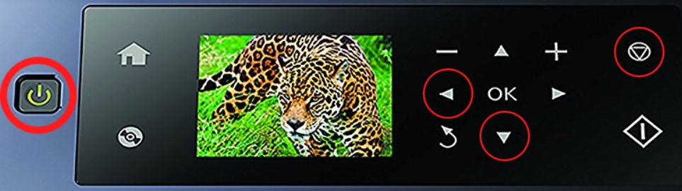 Put printer in Firmware Update Mode XP-640 chipless firmware